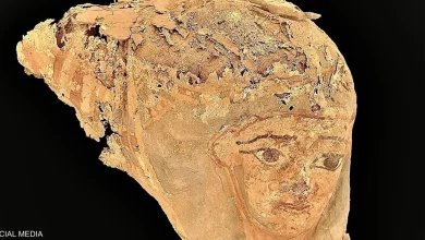 صورة مصر تكتشف كنوزاً أثرية جديدة.. بمحيط «ضريح الأغاخان» في أسوان