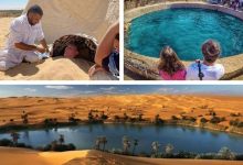 صورة إشادات دولية بتنامي معدلات السياحة المصرية والسياحة العلاجية