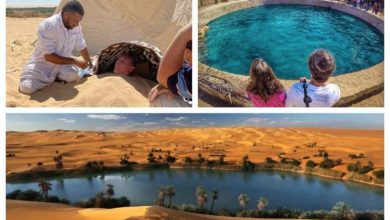 صورة إشادات دولية بتنامي معدلات السياحة المصرية والسياحة العلاجية