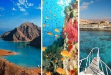 صورة مصر تطوير 13 محمية طبيعية كوجهات سياحية عالمية وتمكن السكان المحيطين بها