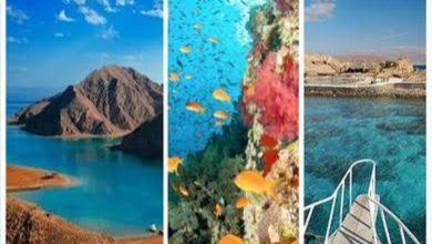 صورة مصر تطوير 13 محمية طبيعية كوجهات سياحية عالمية وتمكن السكان المحيطين بها