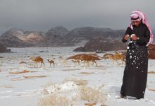 صورة إطلاق منصة عروض “شتاء السعودية” بمشاركة 100 فندق وشركة سياحة