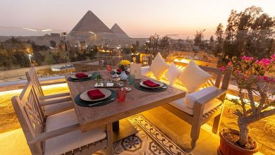 صورة مصر تسعى لتدشين مدينة عالمية للسينما تطل على الأهرامات