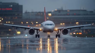 صورة طائرة ركاب بولندية تنحرف عن المدرج بعد هبوطها في مطار عاصمة ليتوانيا