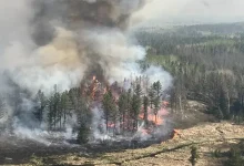 صورة حريق ضخم يندلع في متنزه تونجاريرو أبرز المواقع السياحية في نيوزيلندا