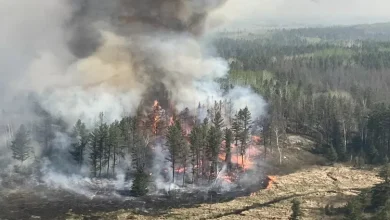 صورة حريق ضخم يندلع في متنزه تونجاريرو أبرز المواقع السياحية في نيوزيلندا
