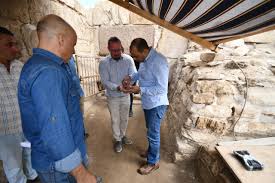 صورة الكشف عن 225 تمثالا أثريا من الأوشابتي تعود للأسرة 22 بمنطقة صان الحجر (تانيس) بالشرقية