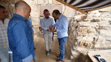 صورة الكشف عن 225 تمثالا أثريا من الأوشابتي تعود للأسرة 22 بمنطقة صان الحجر (تانيس) بالشرقية