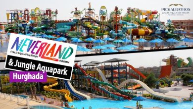 صورة بيك الباتروس تستعد للاحتفال بالعيد السنوى الثالث لمدينة نيفرلاند بالغردقة