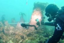 صورة عمره 7 آلاف عام.. اكتشاف جدار حجري تحت الماء قبالة فرنسا