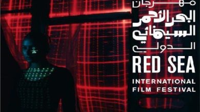 صورة البحر الأحمر السينمائى » يكرم رمز السينما المصرية