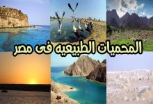 صورة البيئة: تحويل المحميات الطبيعية إلى وجهات سياحية مستدامة
