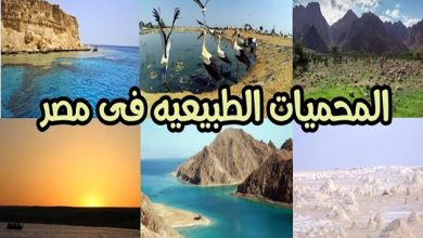 صورة البيئة: تحويل المحميات الطبيعية إلى وجهات سياحية مستدامة