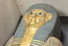 صورة مصر تسترد قطعتين أثريتين من بلجيكا