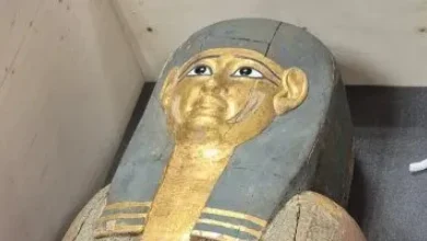 صورة مصر تسترد قطعتين أثريتين من بلجيكا