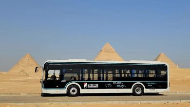 صورة لنقل زوار أهرامات الجيزة.. أتوبيس “النصر للسيارات” الكهربائي الجديد يدخل الخدمة التجريبية