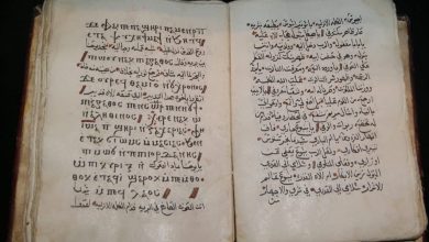 صورة متاحف الآثار المصرية تحتفي باليوم الدولي للتعليم