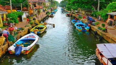 صورة انخفاض إيرادات السياحة في سريلانكا 15% في ديسمبر 2025