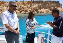 صورة التنمية المحلية: إجراءات جديدة لتطوير المحميات ودعم الطاقة النظيفة في المنشآت السياحية بسيناء