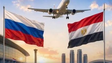 صورة روسيا تسير رحلات جوية مباشرة إلى برج العرب والعلمين.. ومصر ترحب بالخطوة