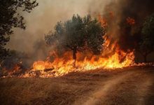 صورة فرار سياح في اليونان وسط اقتراب حرائق الغابات من منتجعات سياحية